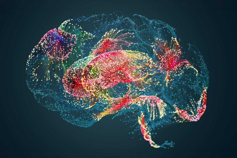 WashU Medicine researchers to build AI tools to boost Alzheimer’s research