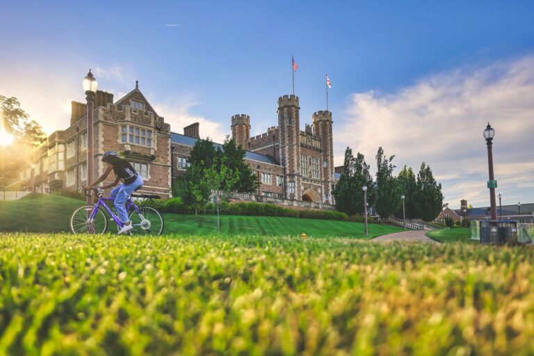 WashU Research Seed Grants Offer New Funding for AI-Integrated Research